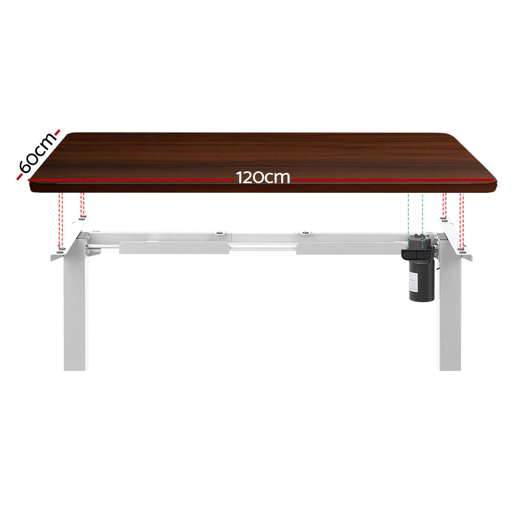 Motorised Adjustable Desk – Ergonomic Design - Walnut & White