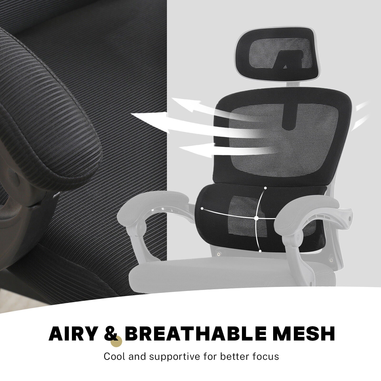 Ergonomic Reclining Office Chair - Lumbar Support & Adjustable Headrest